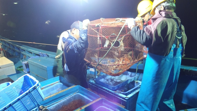 ●目で味わい・プリプリの食感を楽しむ♪メイン料理は豪快に佐渡前【活魚姿造り】